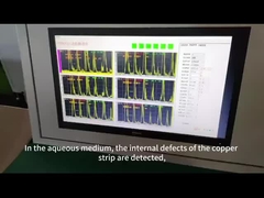 فيديو الكشف عبر الإنترنت